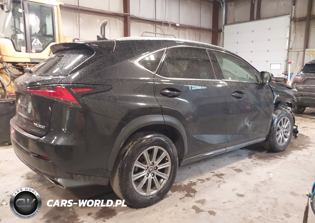 2019 Lexus Nx 300 VIN:JTJBARBZ5K2215433 - 4