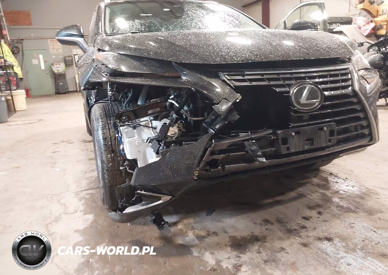 2019 Lexus Nx 300 VIN:JTJBARBZ5K2215433 - 6