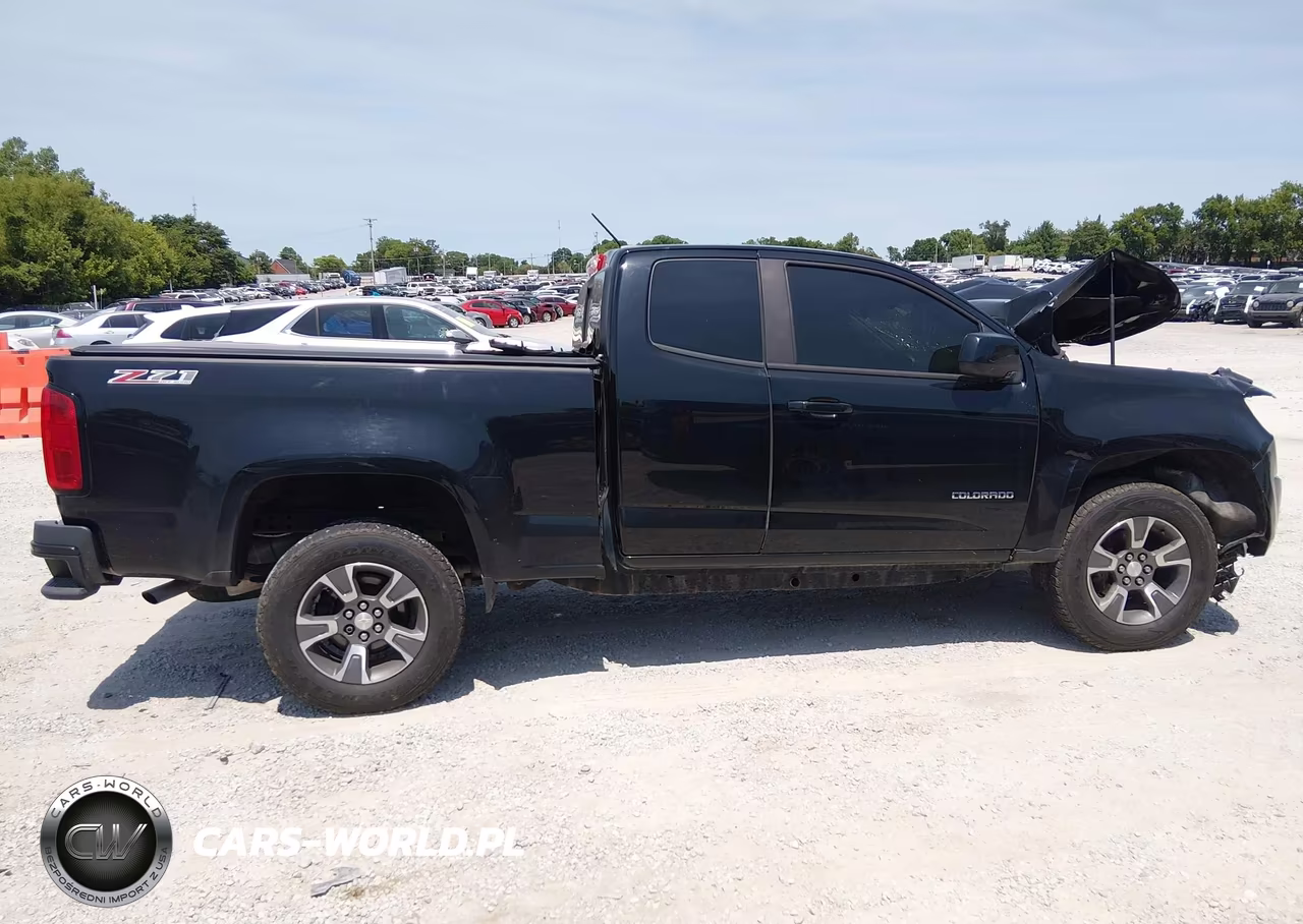 2016 Chevrolet Colorado 4Wd Z71 VIN:1GCHTDEA1G1392946 - 13