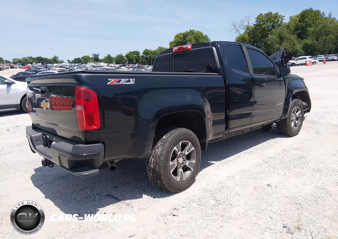2016 Chevrolet Colorado 4Wd Z71 VIN:1GCHTDEA1G1392946 - 4