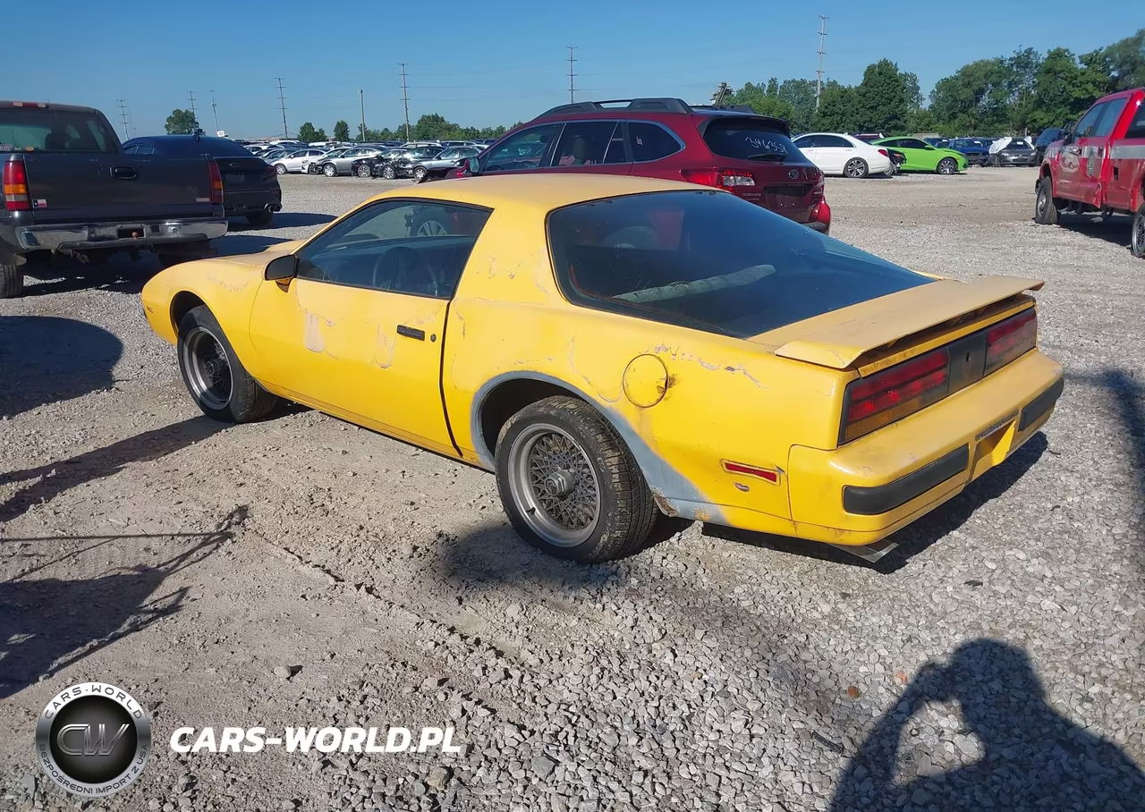 1987 Pontiac Firebird VIN:1G2FS21H5HN236781 - 3