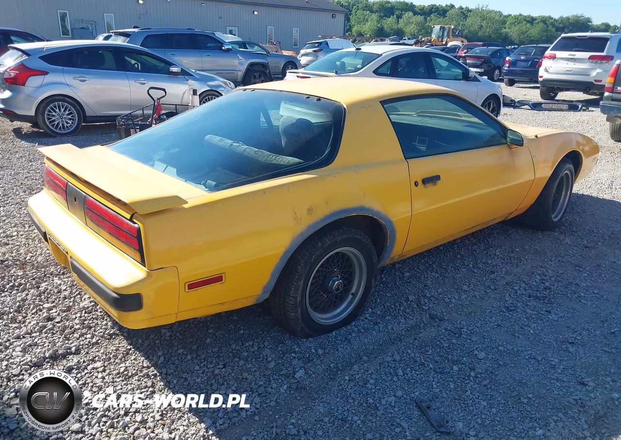 1987 Pontiac Firebird VIN:1G2FS21H5HN236781 - 4
