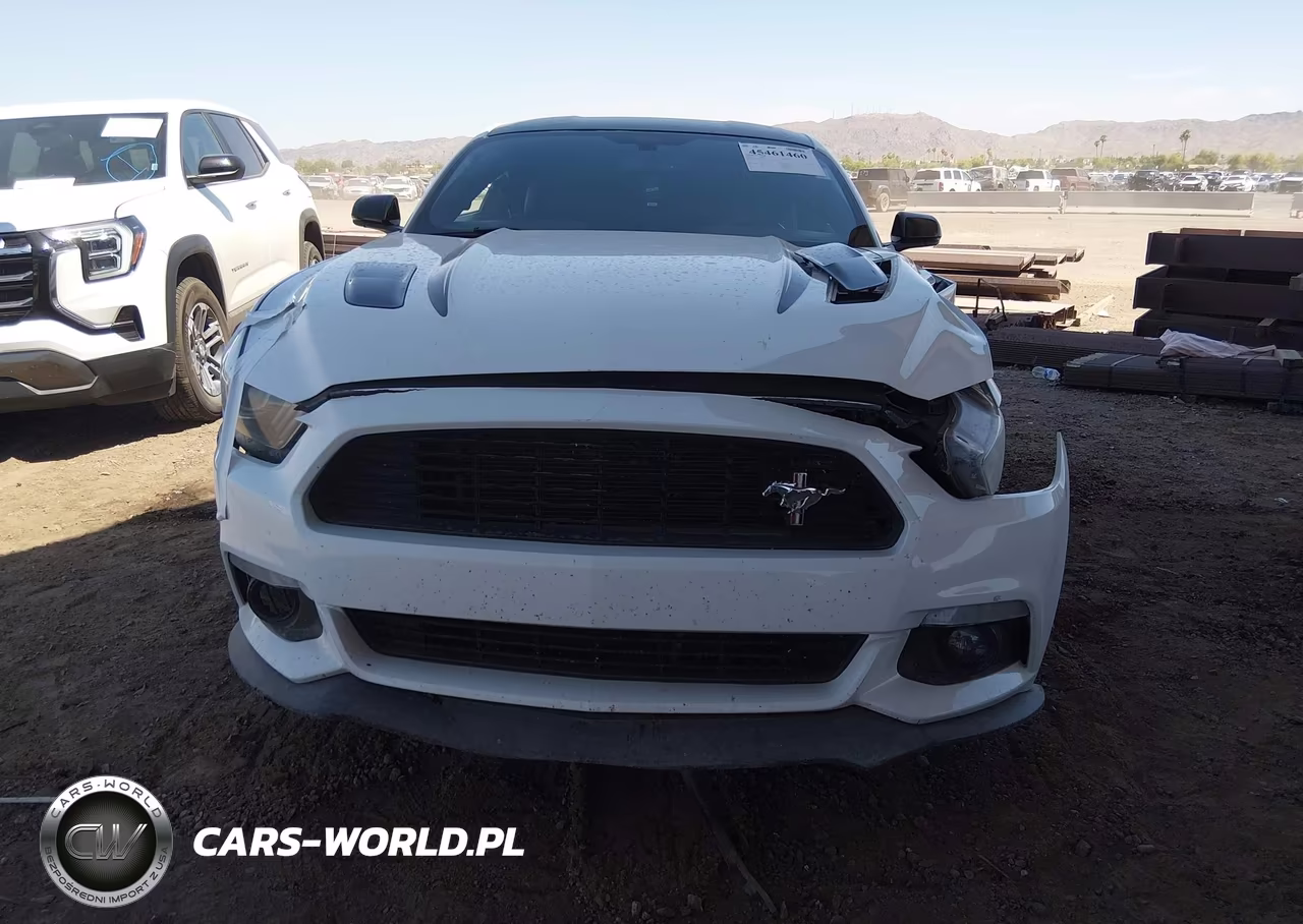 2016 Ford Mustang Gt-Gt Premium VIN:1FA6P8CF5G5327159 - 12