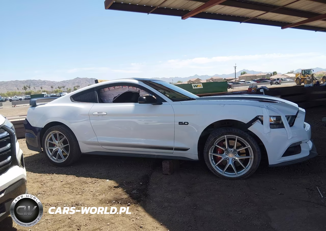 2016 Ford Mustang Gt-Gt Premium VIN:1FA6P8CF5G5327159 - 13