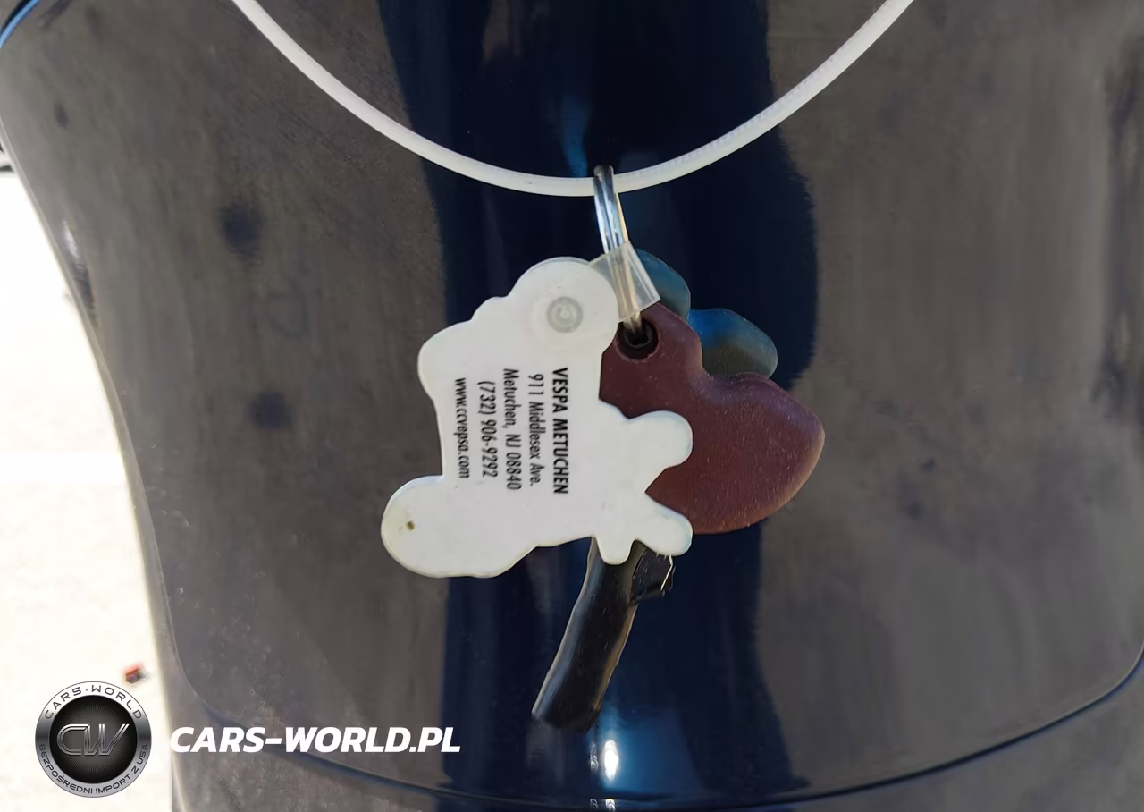 2009 Vespa Lx 150 VIN:ZAPM448F695016496 - 11