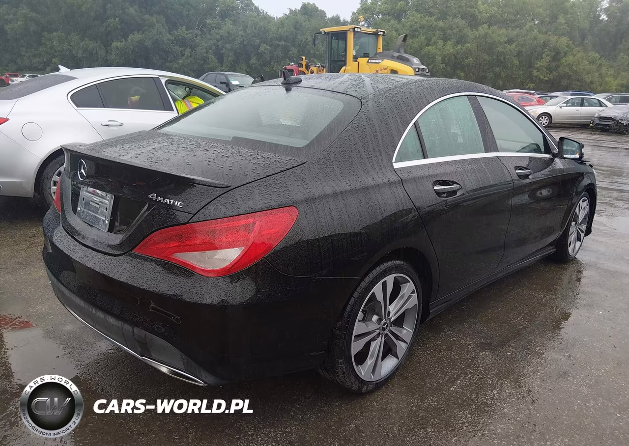 2019 Mercedes-Benz Cla 250 4Matic VIN:WDDSJ4GB9KN737357 - 4