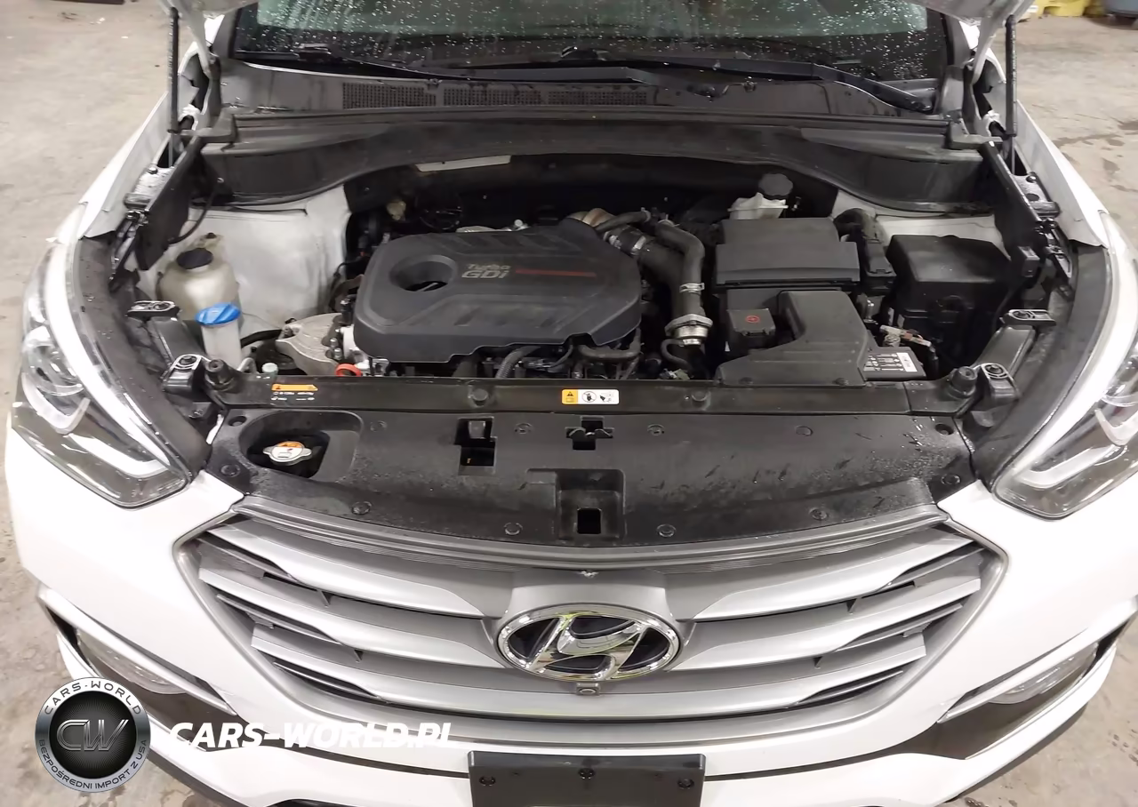 2017 Hyundai Santa Fe Sport 2.0T Ultimate VIN:5XYZWDLA7HG417297 - 10