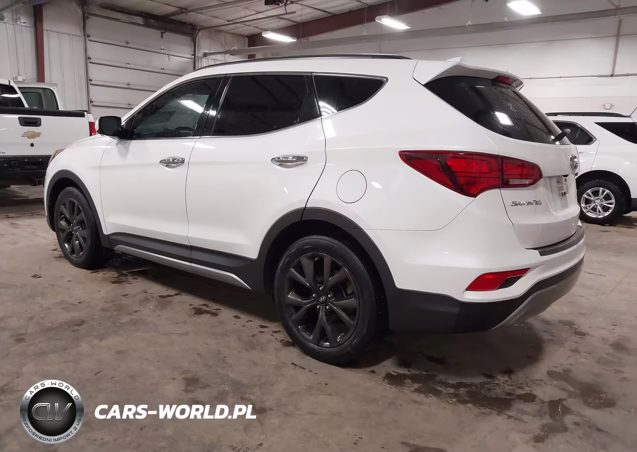 2017 Hyundai Santa Fe Sport 2.0T Ultimate VIN:5XYZWDLA7HG417297 - 3