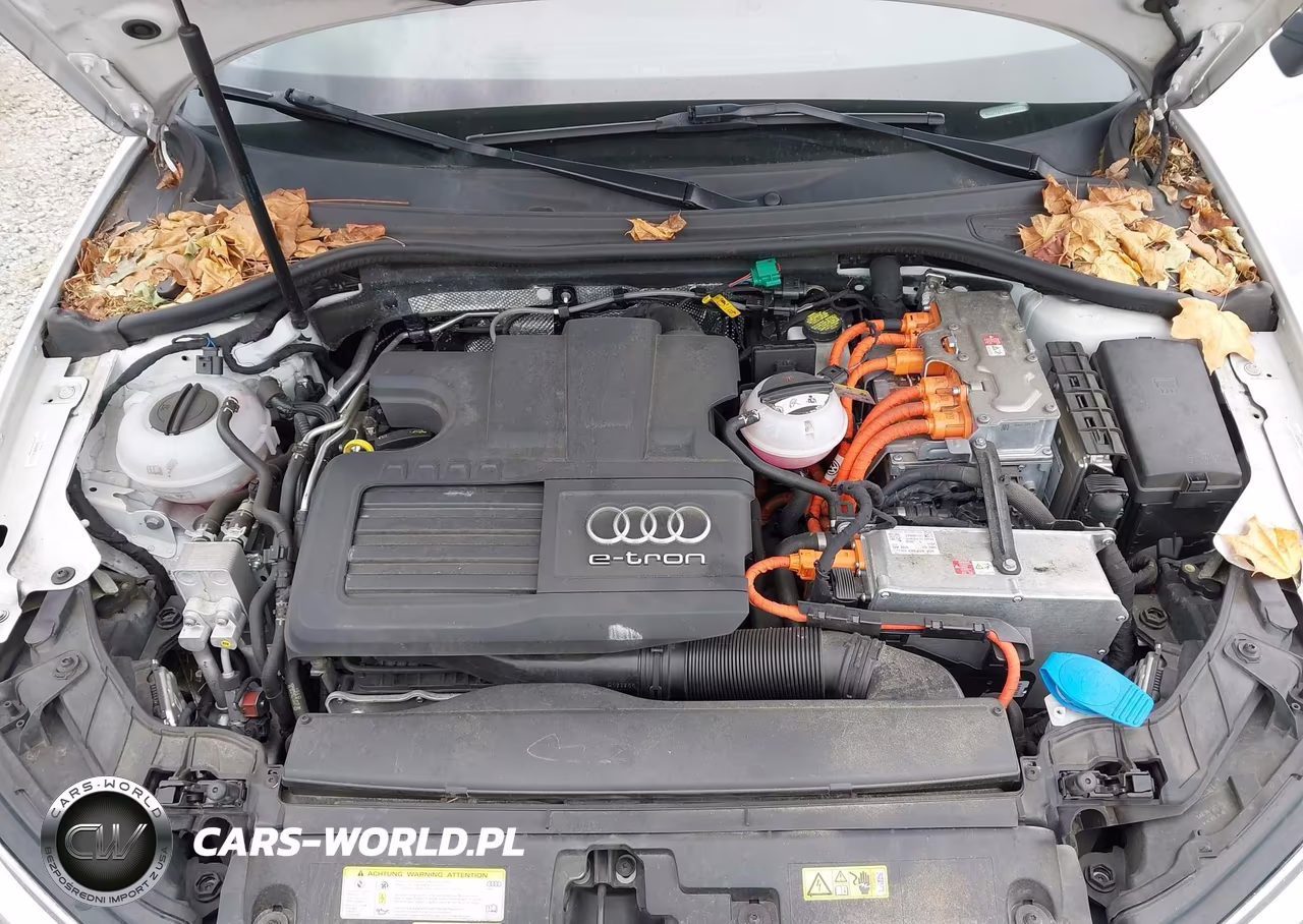 2017 Audi A3 Sportback E-Tron Premium Plus VIN:WAUTPBFF0HA058080 - 10