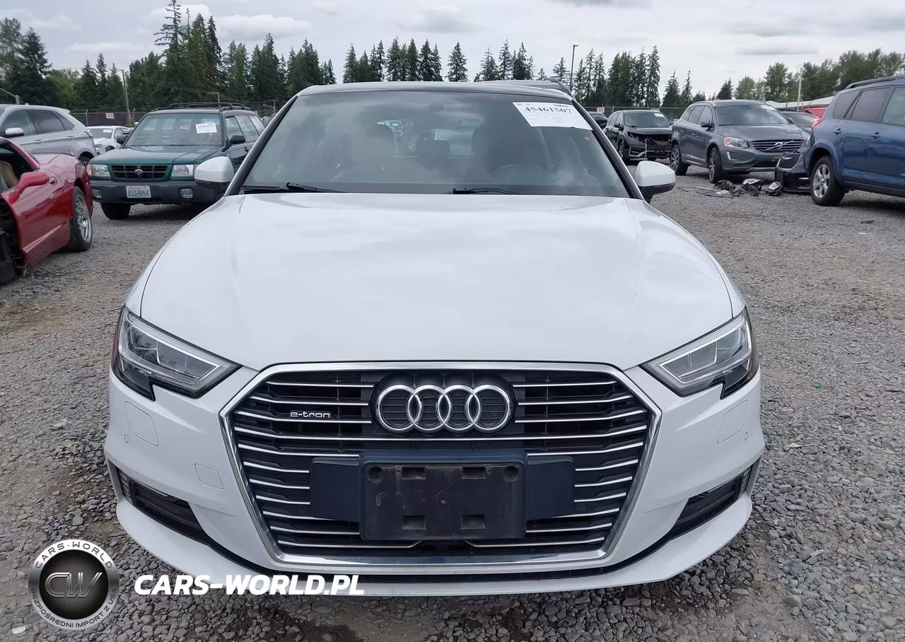 2017 Audi A3 Sportback E-Tron Premium Plus VIN:WAUTPBFF0HA058080 - 12