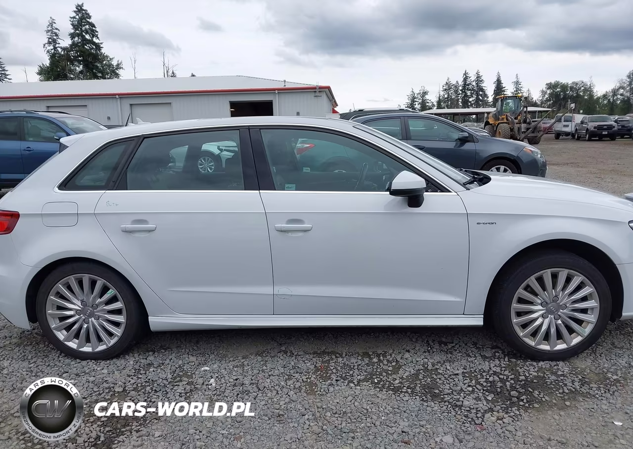 2017 Audi A3 Sportback E-Tron Premium Plus VIN:WAUTPBFF0HA058080 - 13