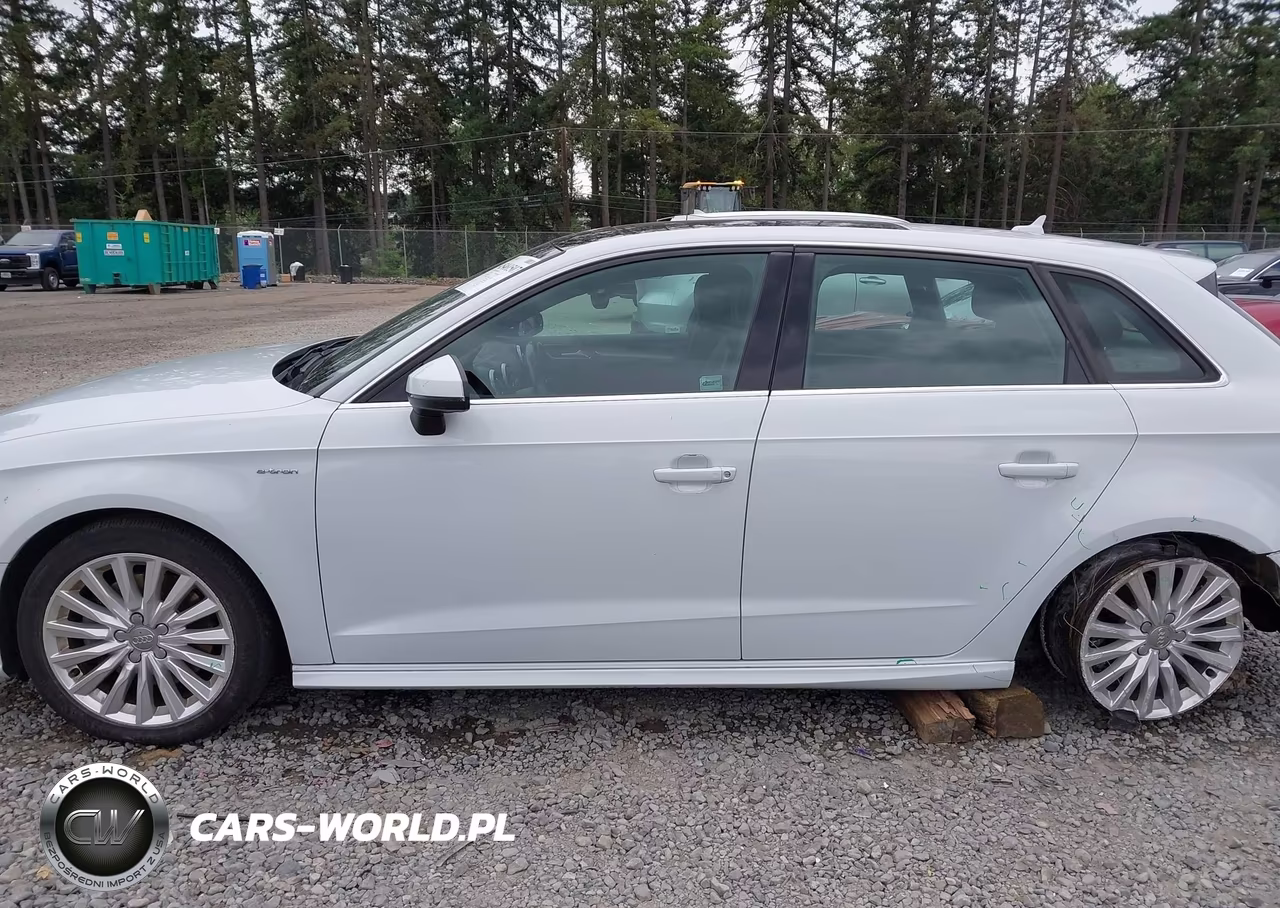 2017 Audi A3 Sportback E-Tron Premium Plus VIN:WAUTPBFF0HA058080 - 14