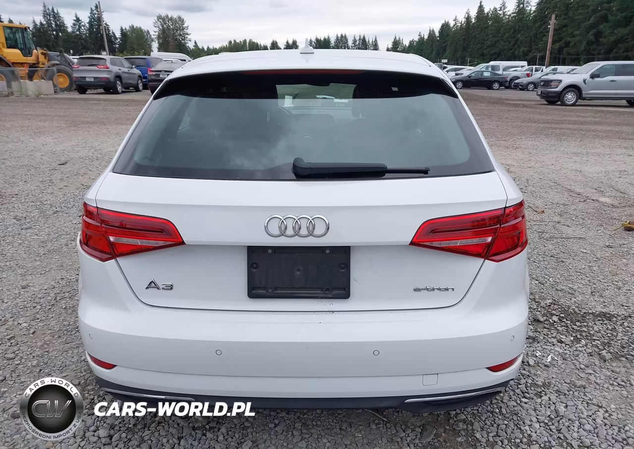 2017 Audi A3 Sportback E-Tron Premium Plus VIN:WAUTPBFF0HA058080 - 16