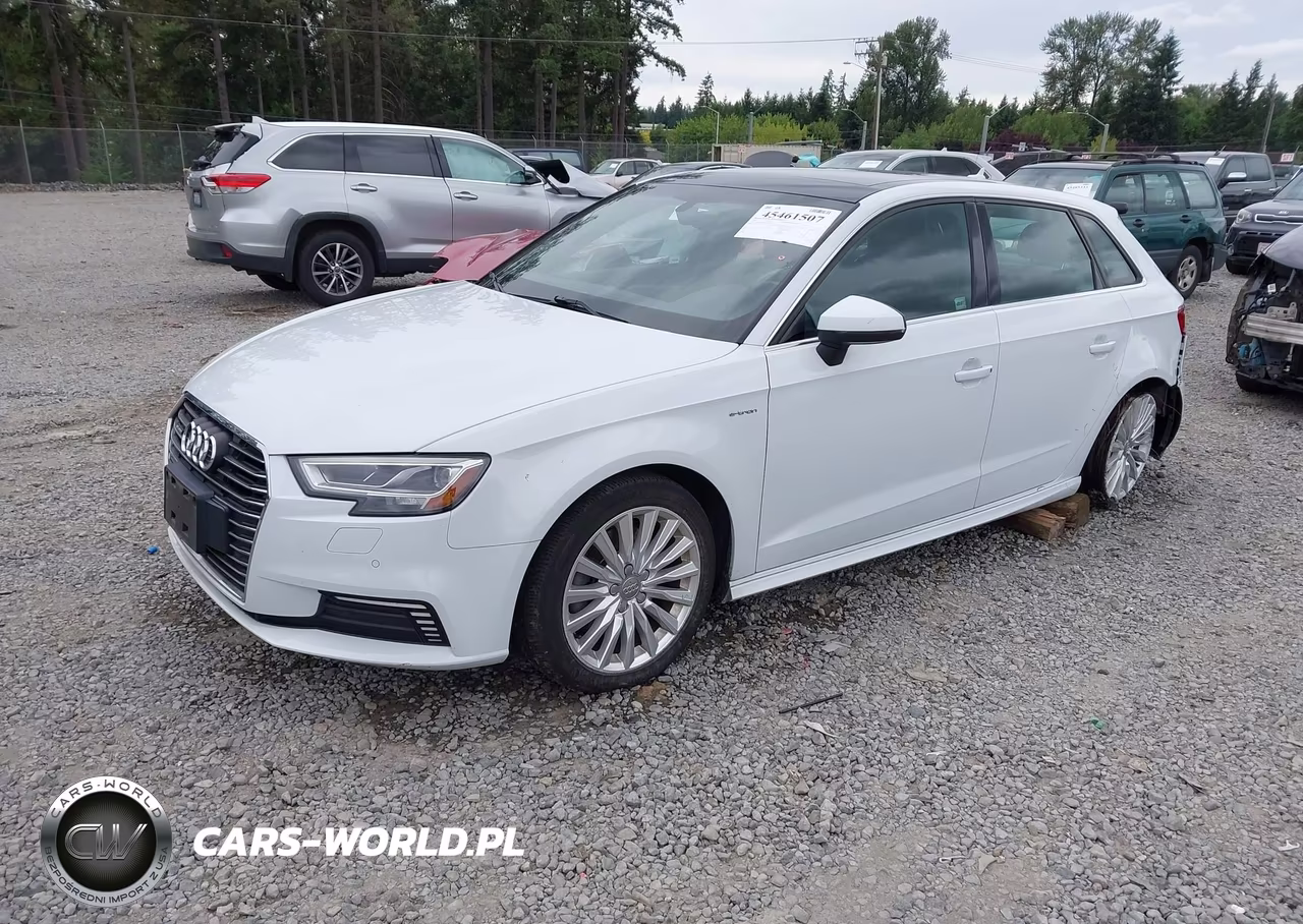 2017 Audi A3 Sportback E-Tron Premium Plus VIN:WAUTPBFF0HA058080 - 2