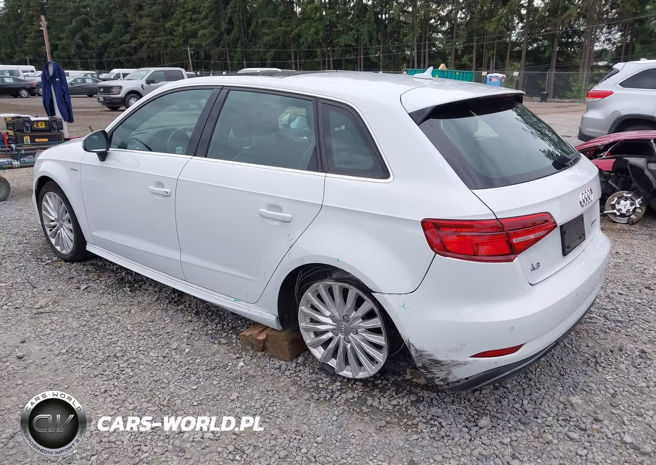 2017 Audi A3 Sportback E-Tron Premium Plus VIN:WAUTPBFF0HA058080 - 3