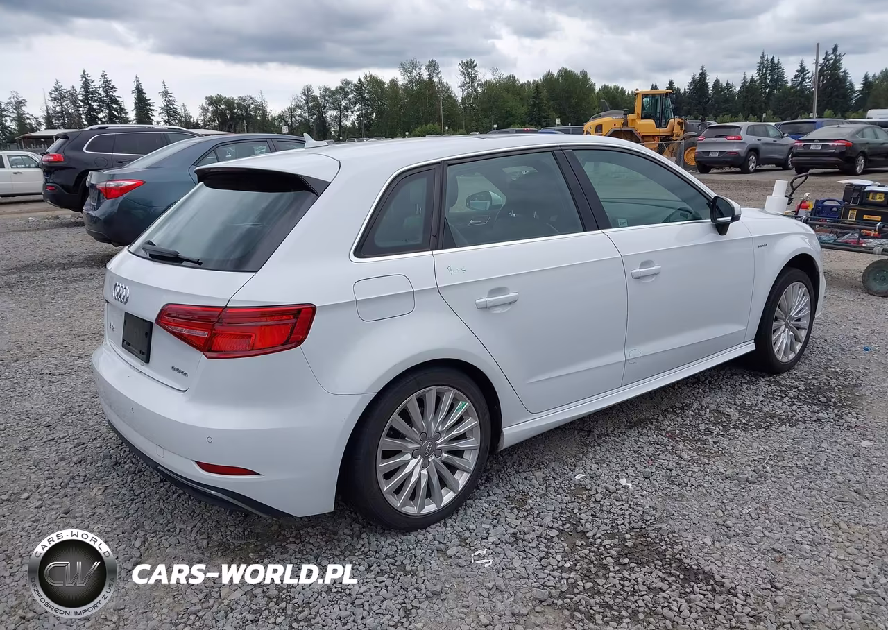 2017 Audi A3 Sportback E-Tron Premium Plus VIN:WAUTPBFF0HA058080 - 4