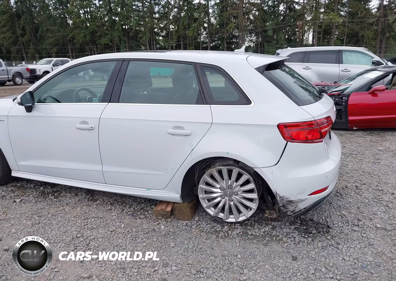2017 Audi A3 Sportback E-Tron Premium Plus VIN:WAUTPBFF0HA058080 - 6