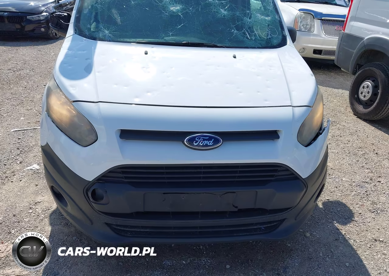 2014 Ford Transit Connect Xl VIN:NM0LS7E79E1171673 - 12