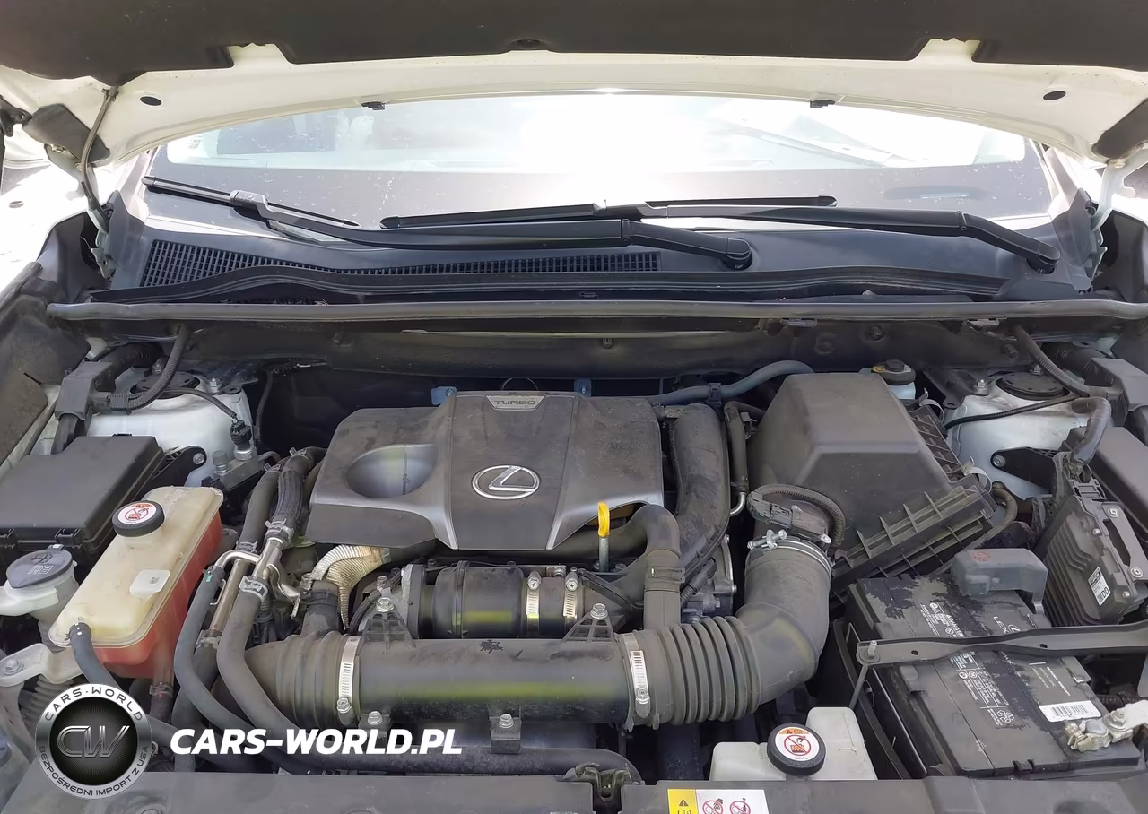 2019 Lexus Nx 300 VIN:JTJBARBZ5K2182871 - 10