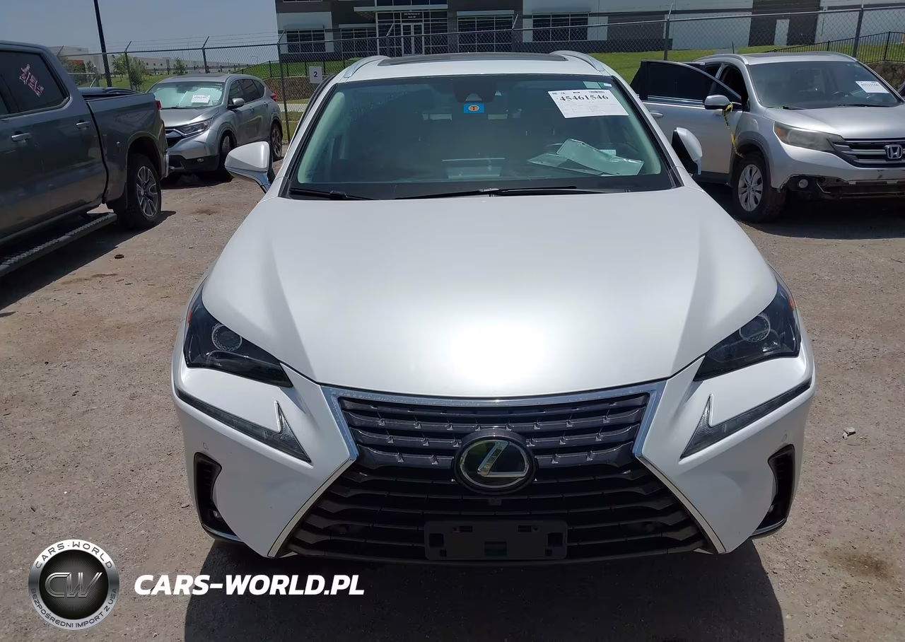2019 Lexus Nx 300 VIN:JTJBARBZ5K2182871 - 12