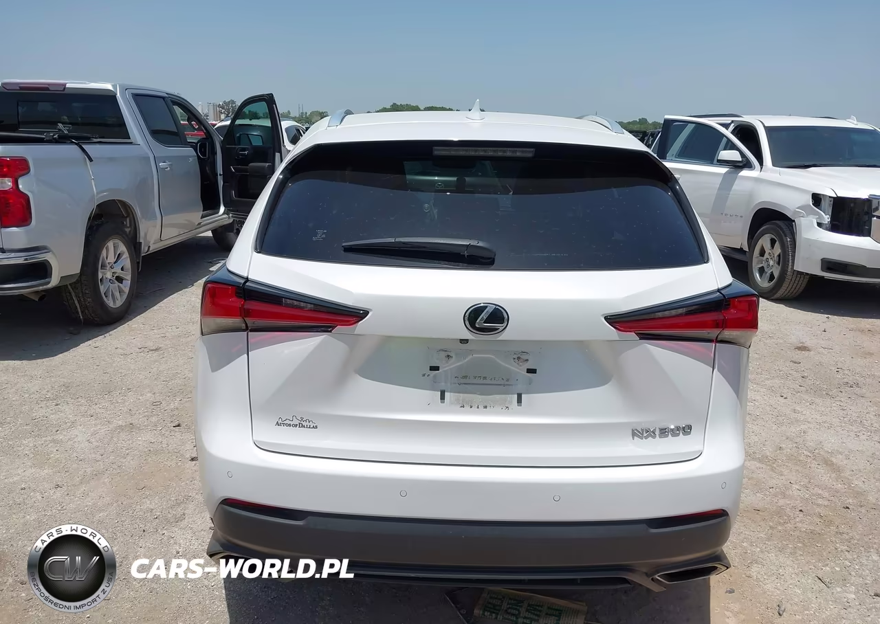 2019 Lexus Nx 300 VIN:JTJBARBZ5K2182871 - 16