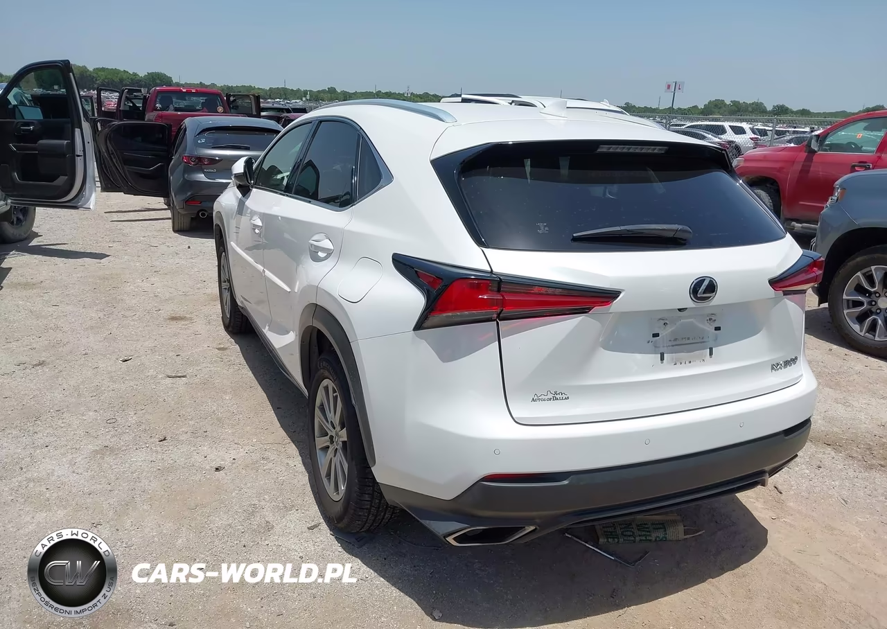 2019 Lexus Nx 300 VIN:JTJBARBZ5K2182871 - 3