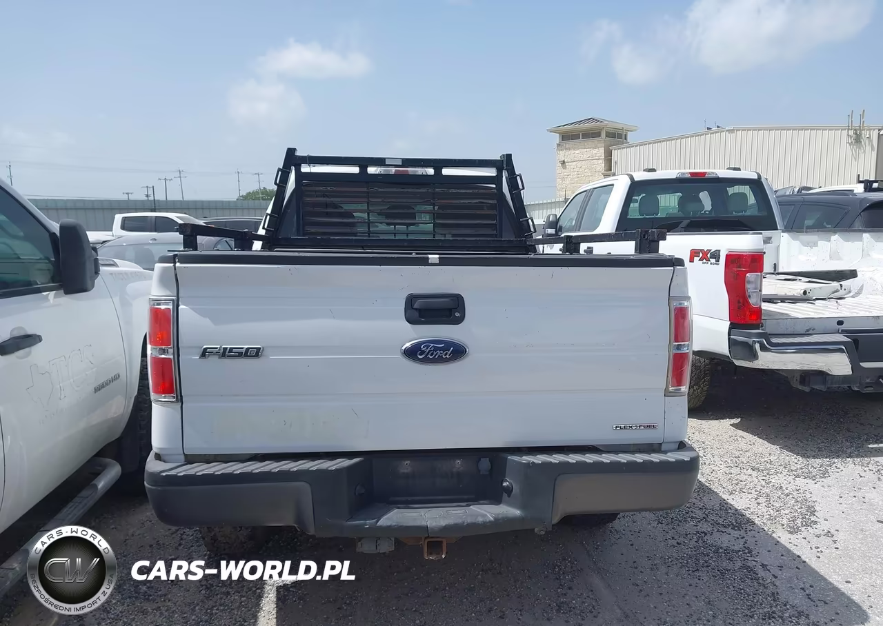 2013 Ford F-150 Fx4-Lariat-Stx-Xl-Xlt VIN:1FTFX1EF8DKF43003 - 16