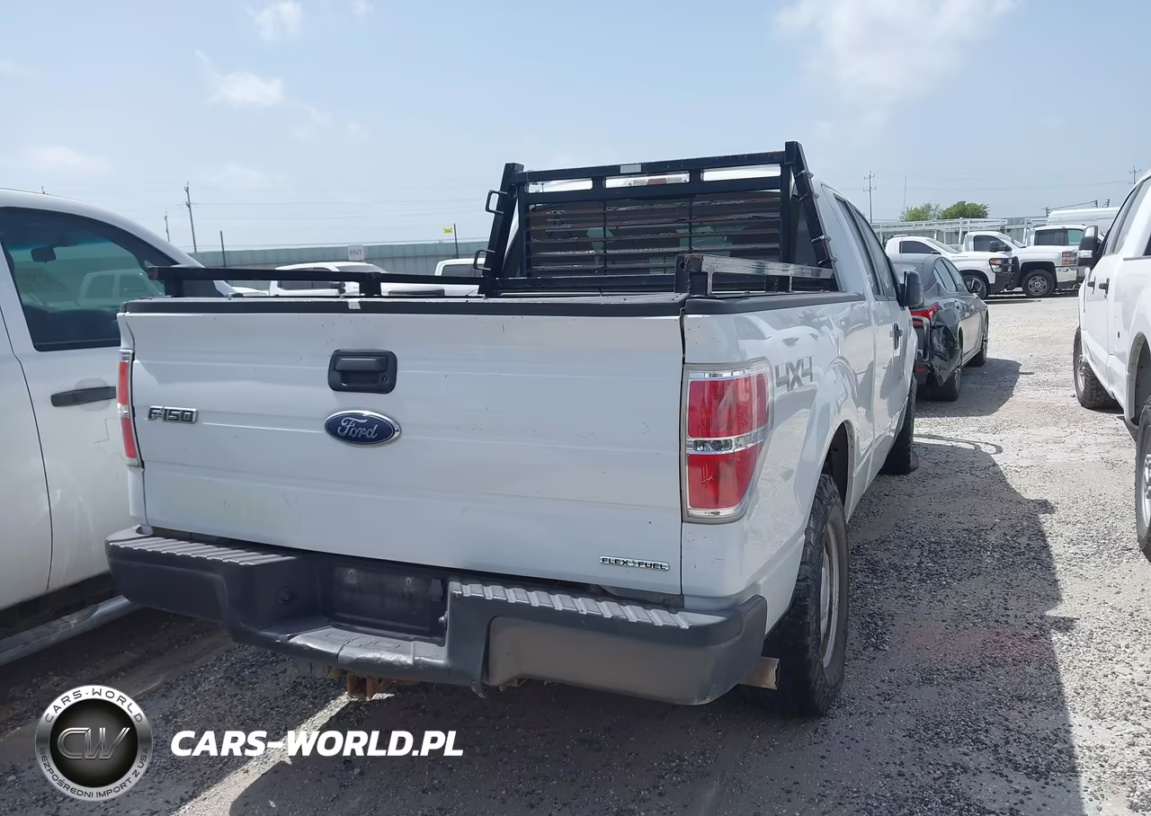2013 Ford F-150 Fx4-Lariat-Stx-Xl-Xlt VIN:1FTFX1EF8DKF43003 - 19