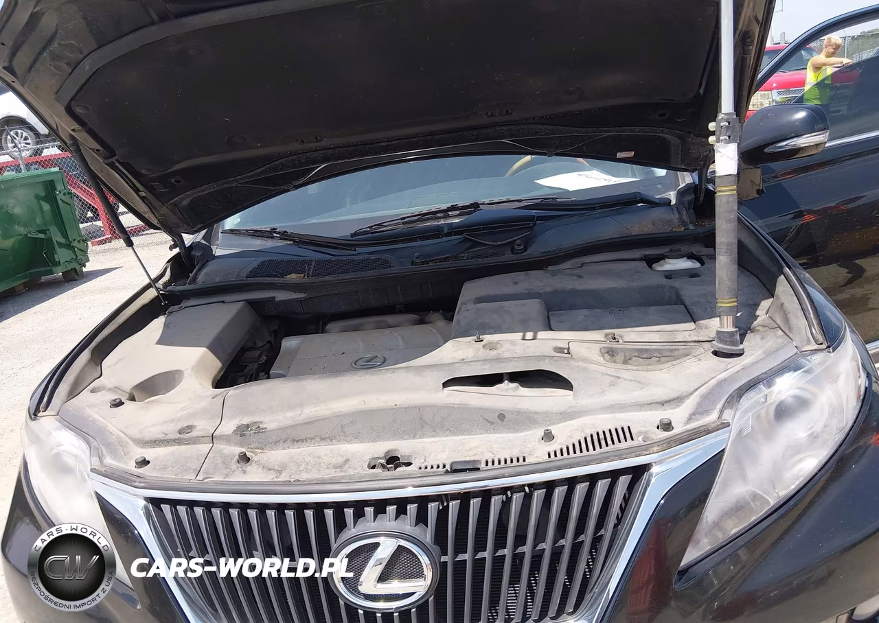 2010 Lexus Rx 350 VIN:2T2BK1BA4AC057545 - 10