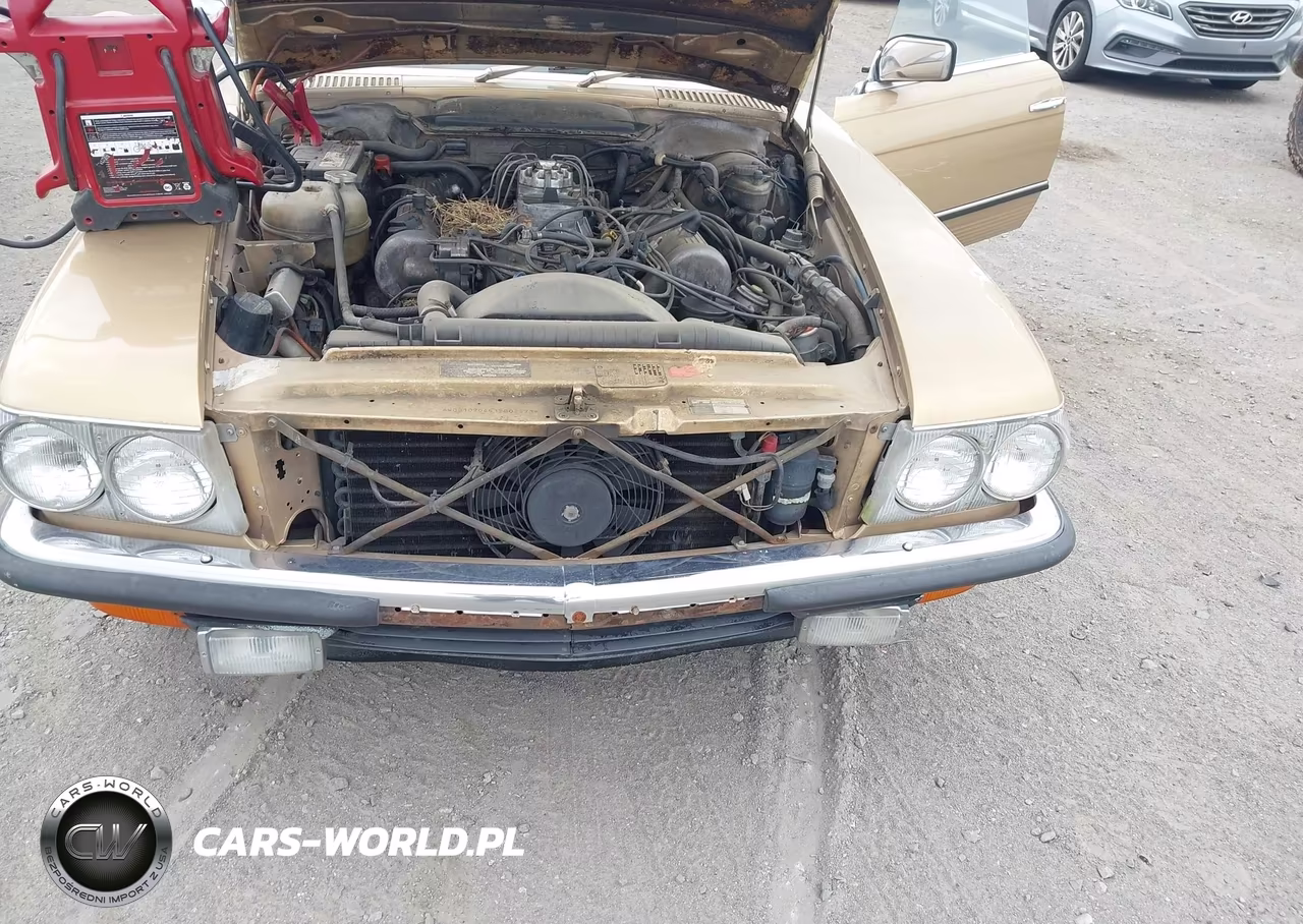 1986 Mercedes-Benz 420 Sel VIN:WDBCA35D4GA256751 - 10