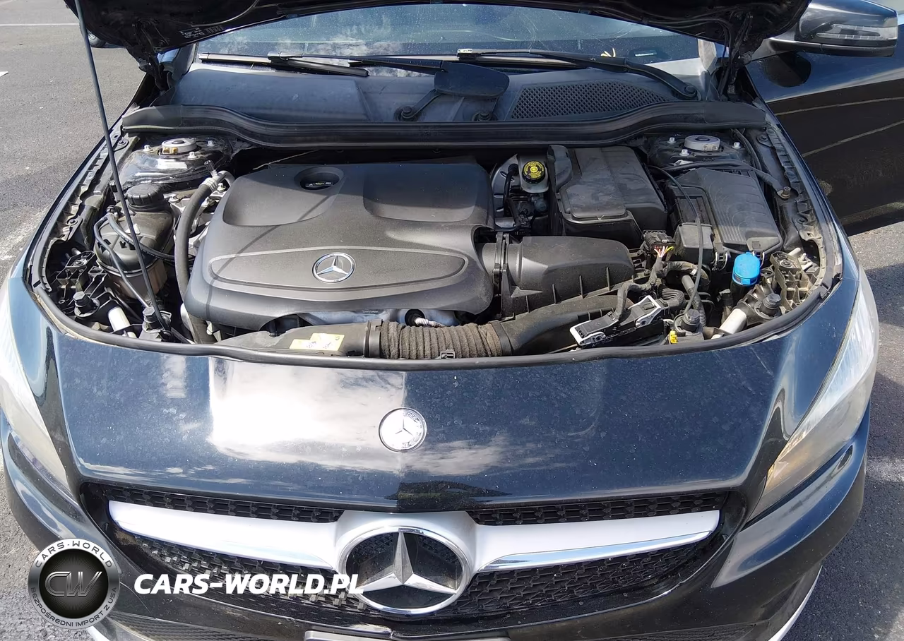 2017 Mercedes-Benz Cla 250 VIN:WDDSJ4EB2HN424789 - 10