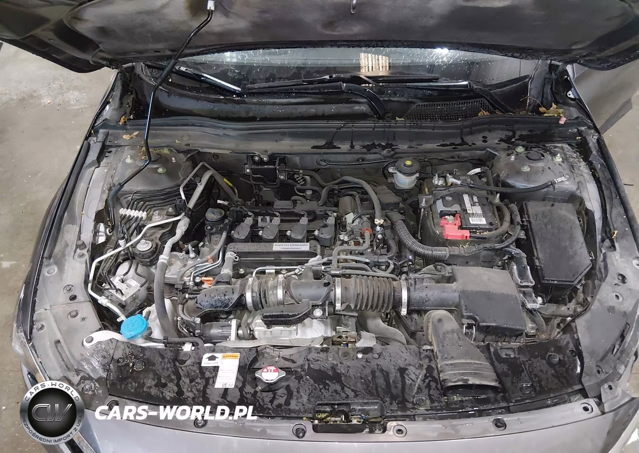 2019 Honda Accord Lx VIN:1HGCV1F13KA161512 - 10