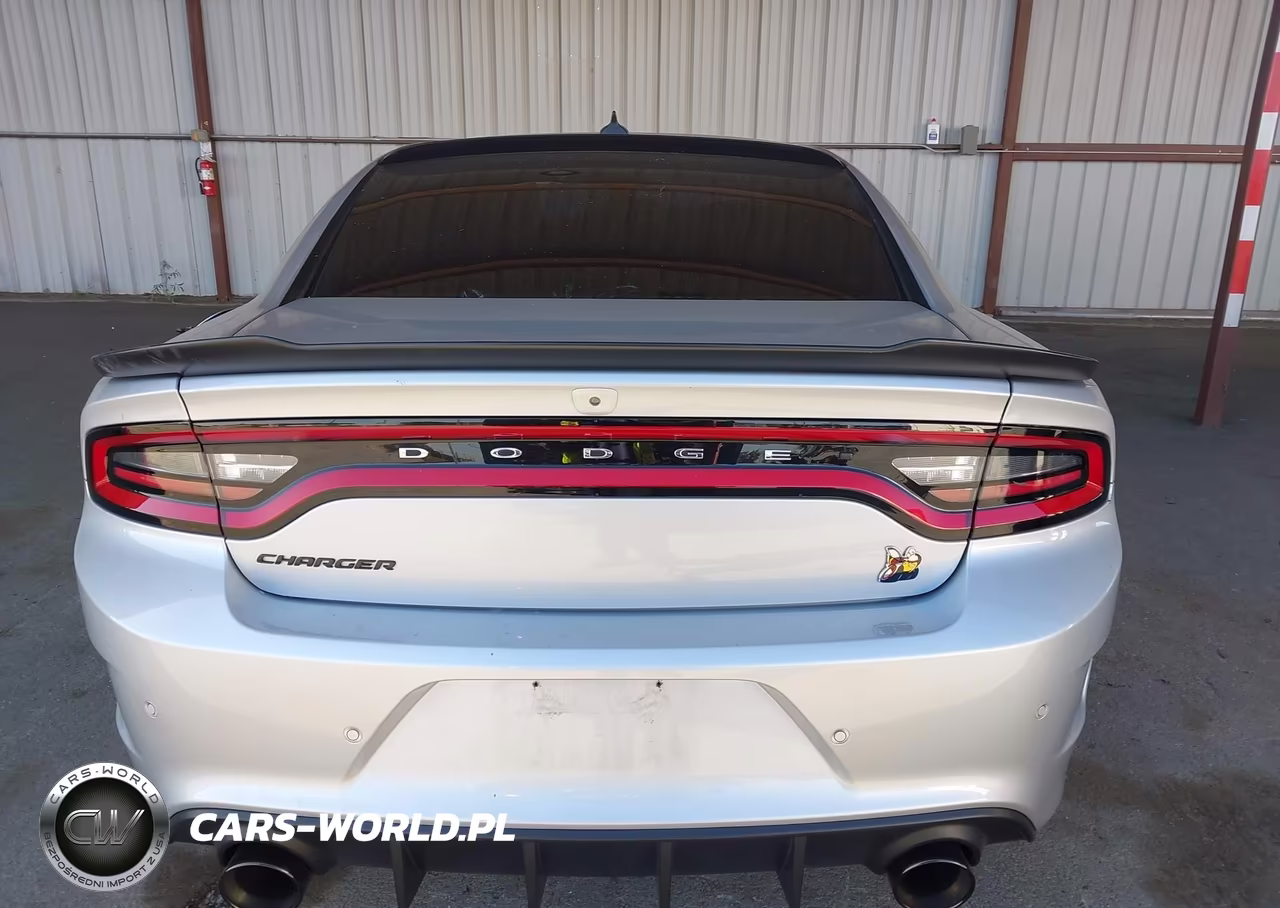2020 Dodge Charger Scat Pack Rwd VIN:2C3CDXGJ1LH157713 - 17