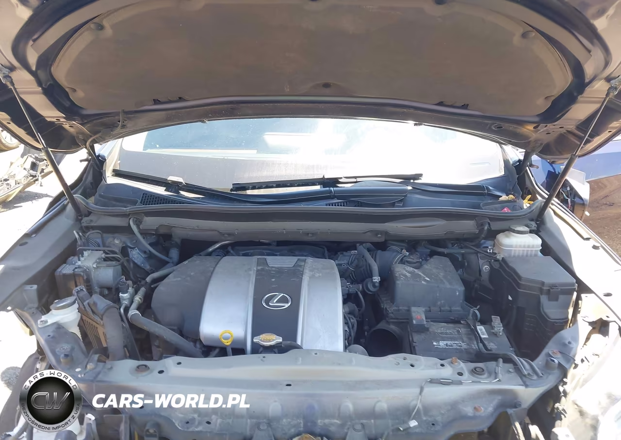 2016 Lexus Rx 350 VIN:JTJBZMCA8G2005565 - 10