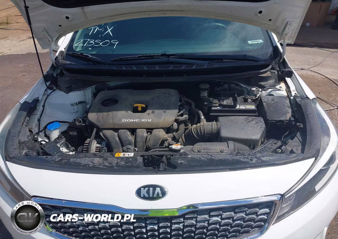 2018 Kia Forte Lx VIN:3KPFK4A78JE273509 - 10