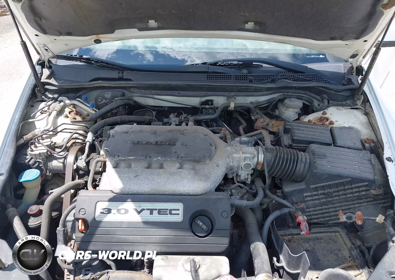 2004 Honda Accord 3.0 Ex VIN:1HGCM66884A071207 - 10