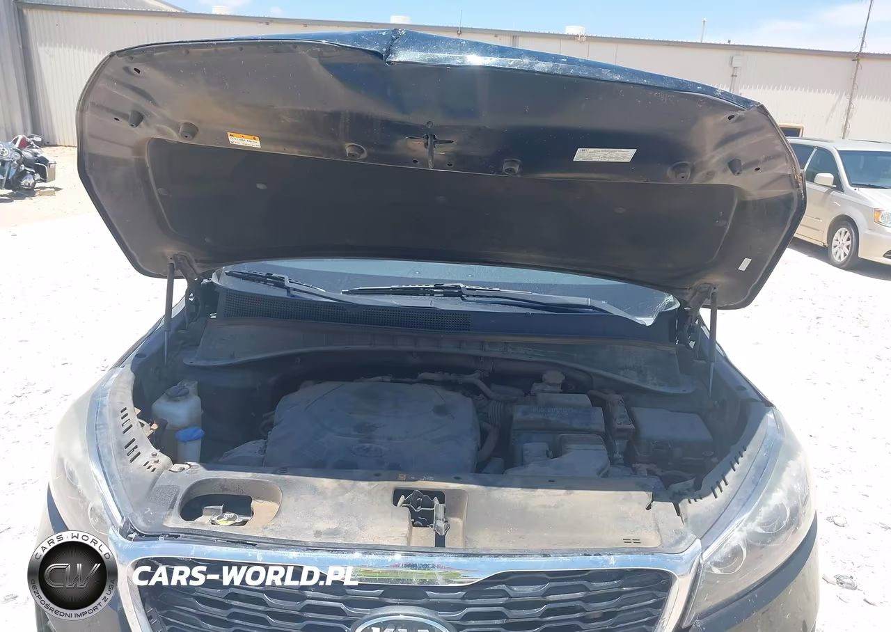 2019 Kia Sorento 3.3L Lx VIN:5XYPG4A52KG459538 - 10