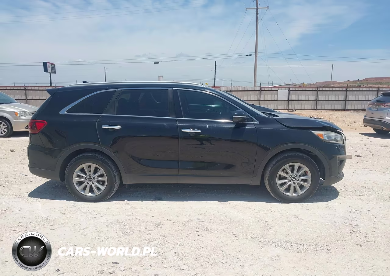 2019 Kia Sorento 3.3L Lx VIN:5XYPG4A52KG459538 - 13