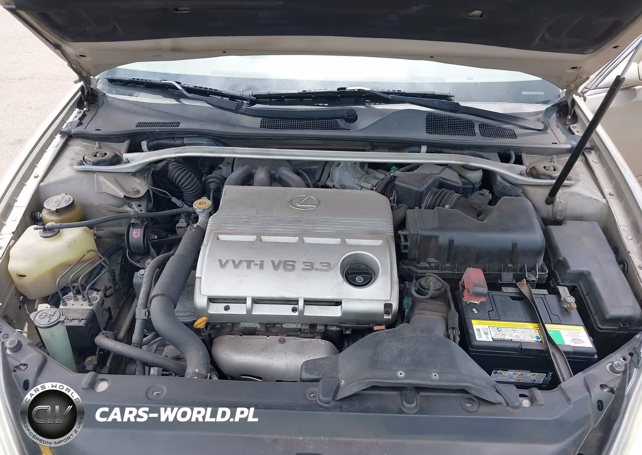 2005 Lexus Es 330 VIN:JTHBA30G855095601 - 10