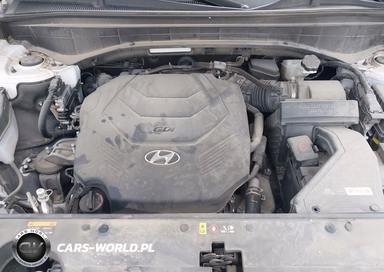 2020 Hyundai Palisade Sel VIN:KM8R2DHEXLU147640 - 10