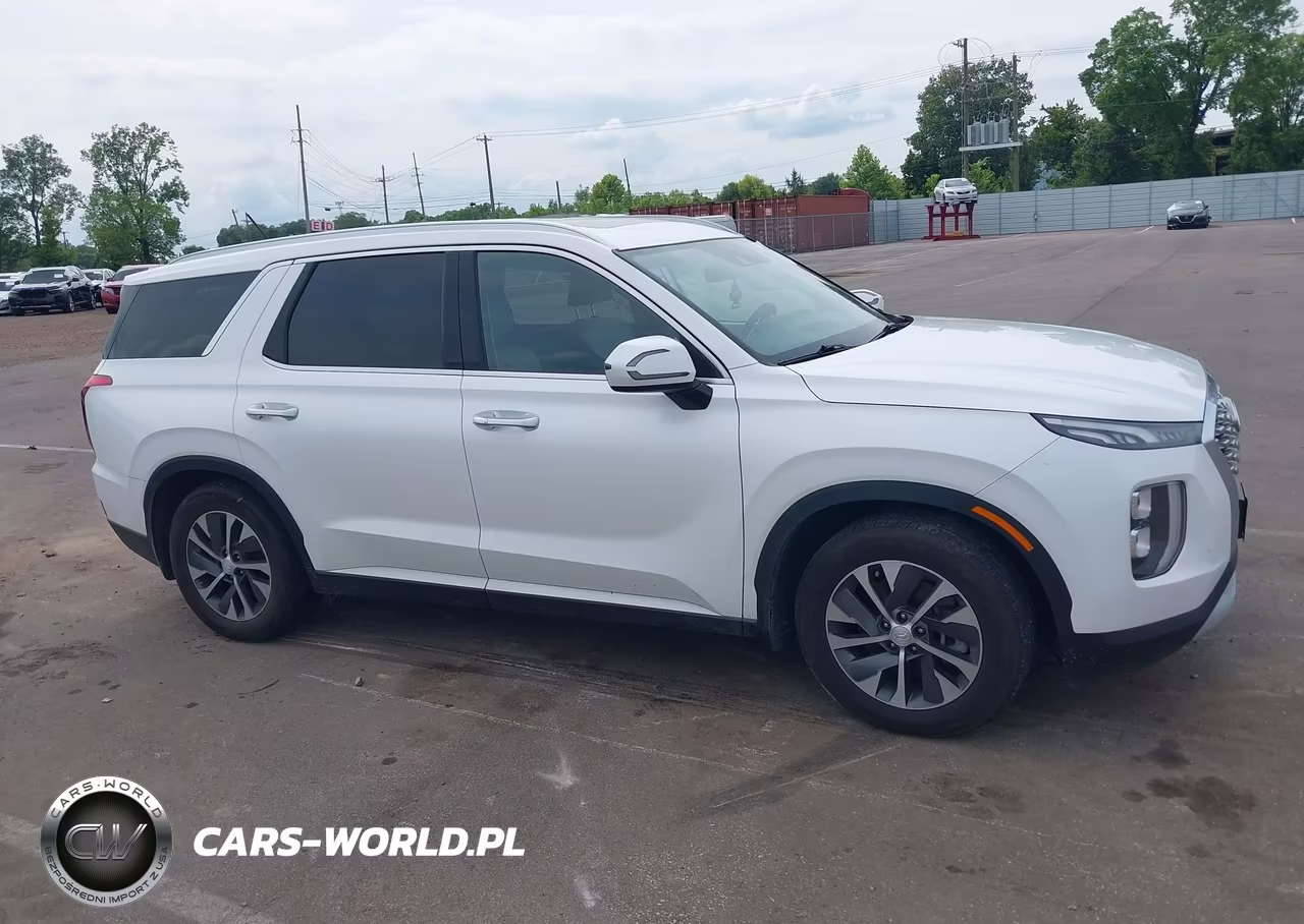 2020 Hyundai Palisade Sel VIN:KM8R2DHEXLU147640 - 14