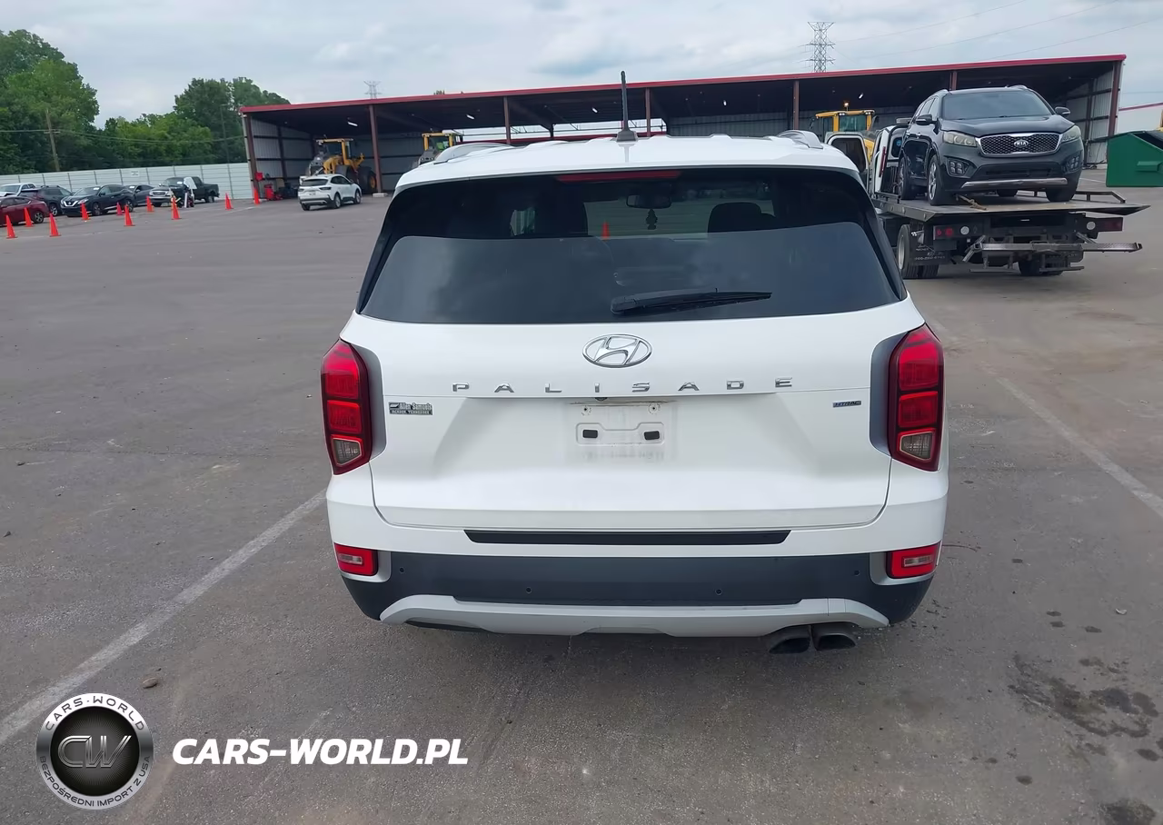2020 Hyundai Palisade Sel VIN:KM8R2DHEXLU147640 - 17