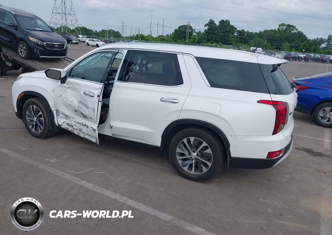 2020 Hyundai Palisade Sel VIN:KM8R2DHEXLU147640 - 3
