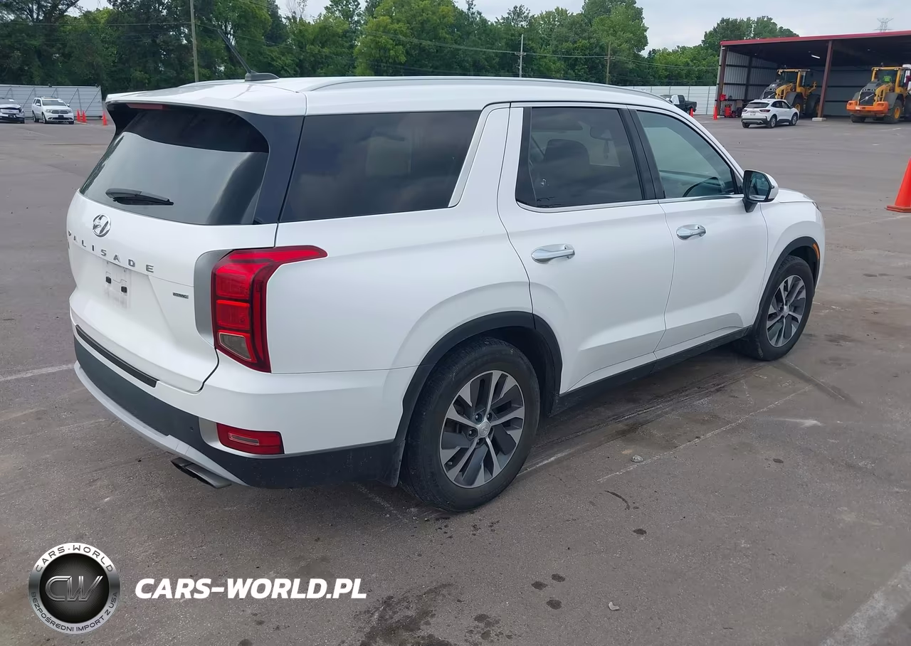 2020 Hyundai Palisade Sel VIN:KM8R2DHEXLU147640 - 4