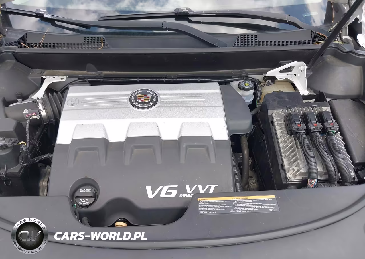 2010 Cadillac Srx Performance Collection VIN:3GYFNBEY0AS604755 - 10