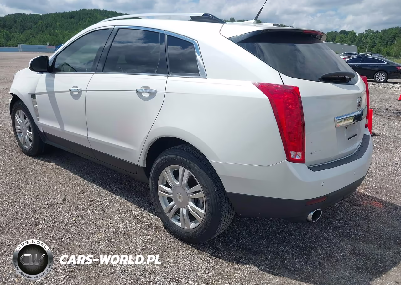 2010 Cadillac Srx Performance Collection VIN:3GYFNBEY0AS604755 - 3