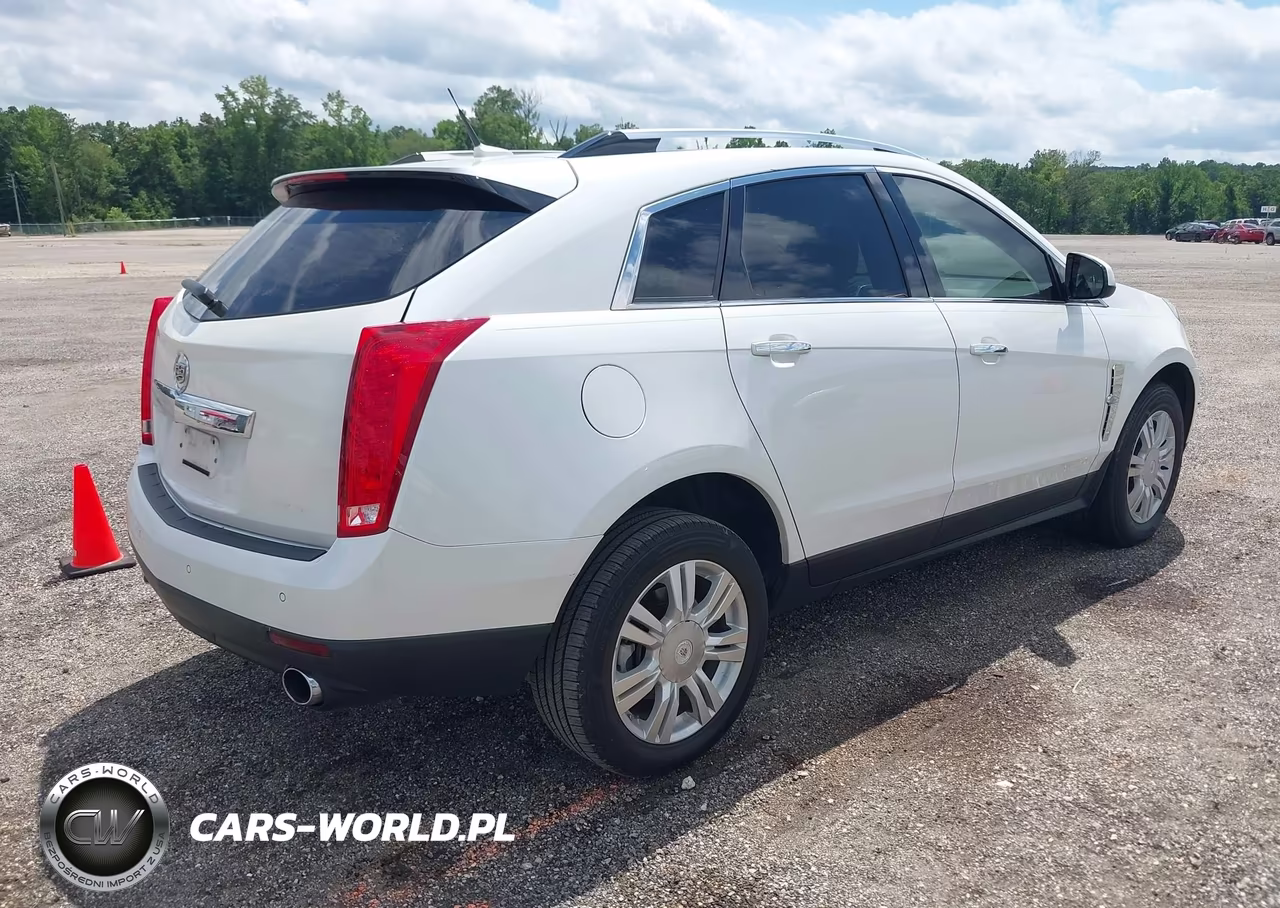 2010 Cadillac Srx Performance Collection VIN:3GYFNBEY0AS604755 - 4