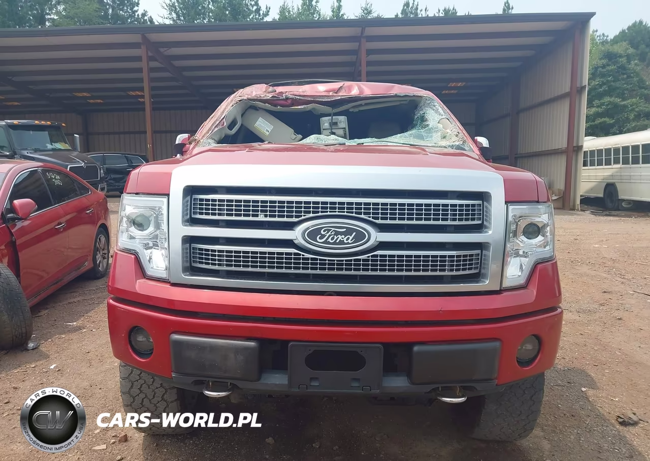 2010 Ford F-150 Fx4-Harley-Davidson-King Ranch-Lariat-Platinum-Xl-Xlt VIN:1FTFW1EV3AFD50868 - 13