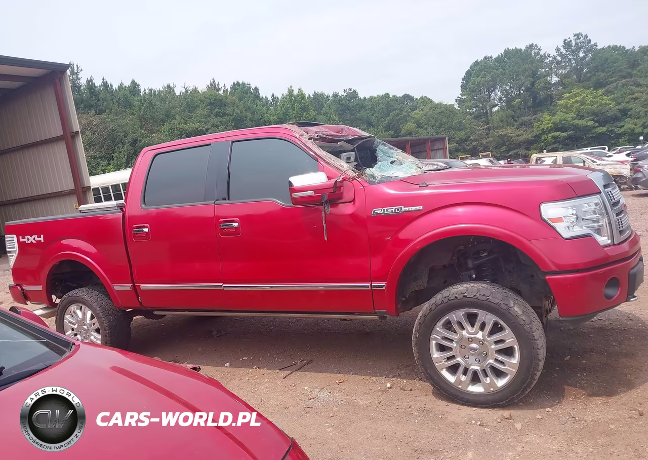 2010 Ford F-150 Fx4-Harley-Davidson-King Ranch-Lariat-Platinum-Xl-Xlt VIN:1FTFW1EV3AFD50868 - 14