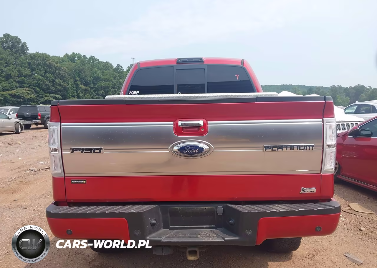 2010 Ford F-150 Fx4-Harley-Davidson-King Ranch-Lariat-Platinum-Xl-Xlt VIN:1FTFW1EV3AFD50868 - 17